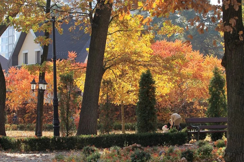 Парк Дружби імені академіка Заріфи Алієвої