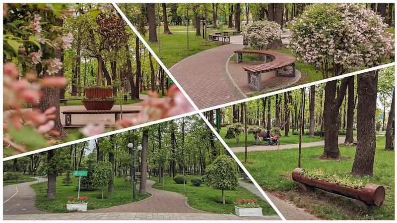 Парк Дубки в Ірпені