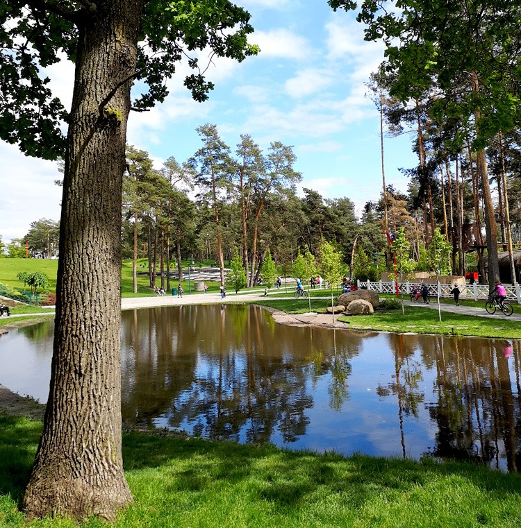 Парк «Незнайка»