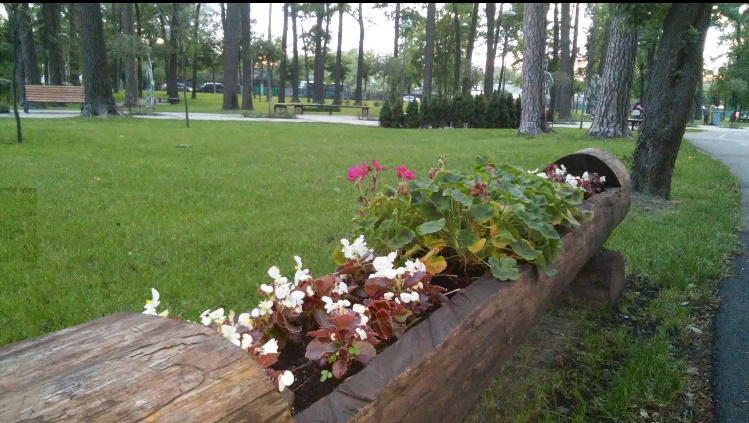 Парк Дружби імені академіка Заріфи Алієвої