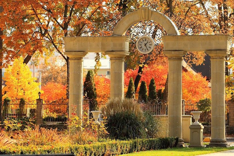 Ірпінський міський парк ім. В. Правика