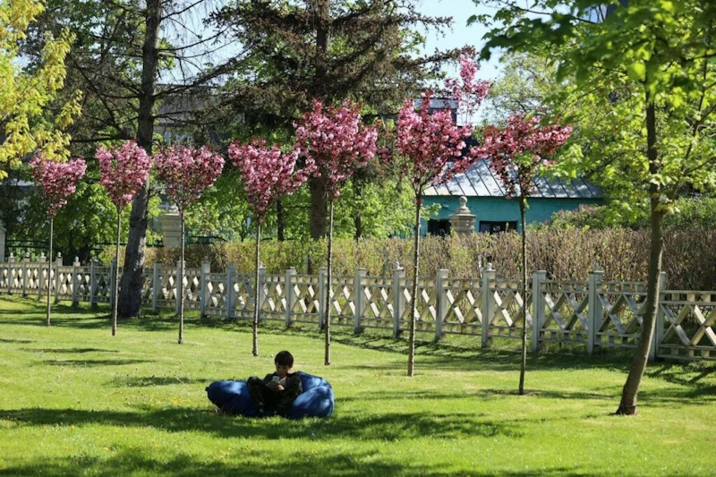 Парк «Письменників» в Ірпені