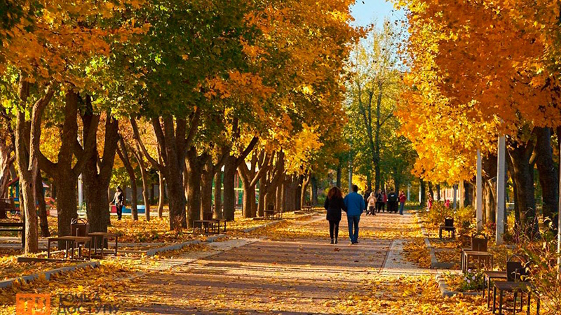 Осінь (жовтень) Ірпінь