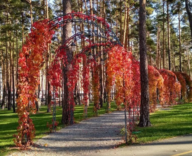 Парк «Центральний»